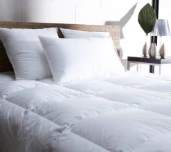 Oreiller rectangulaire 70x45 cm polyester Polyfibre - EDONA