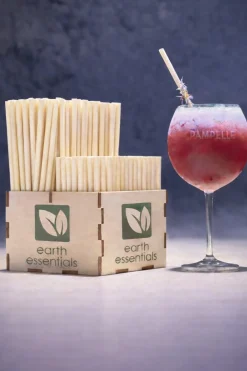 EARTH ESSENTIALS Pailles crème fibre végétale Ø 0,6 cm 13 cm (500 pièces) Sale