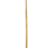 EARTH ESSENTIALS Pic pomme 12 cm Oxstal (1000 pièces) Sale