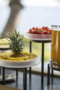 REVOL Plateau avec bord résine Mealplak Discount
