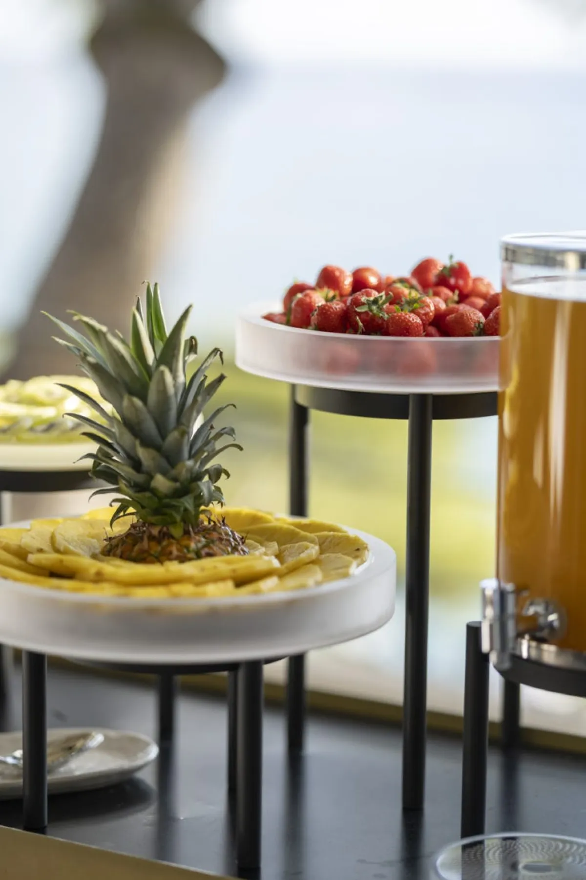 REVOL Plateau avec bord résine Mealplak Discount