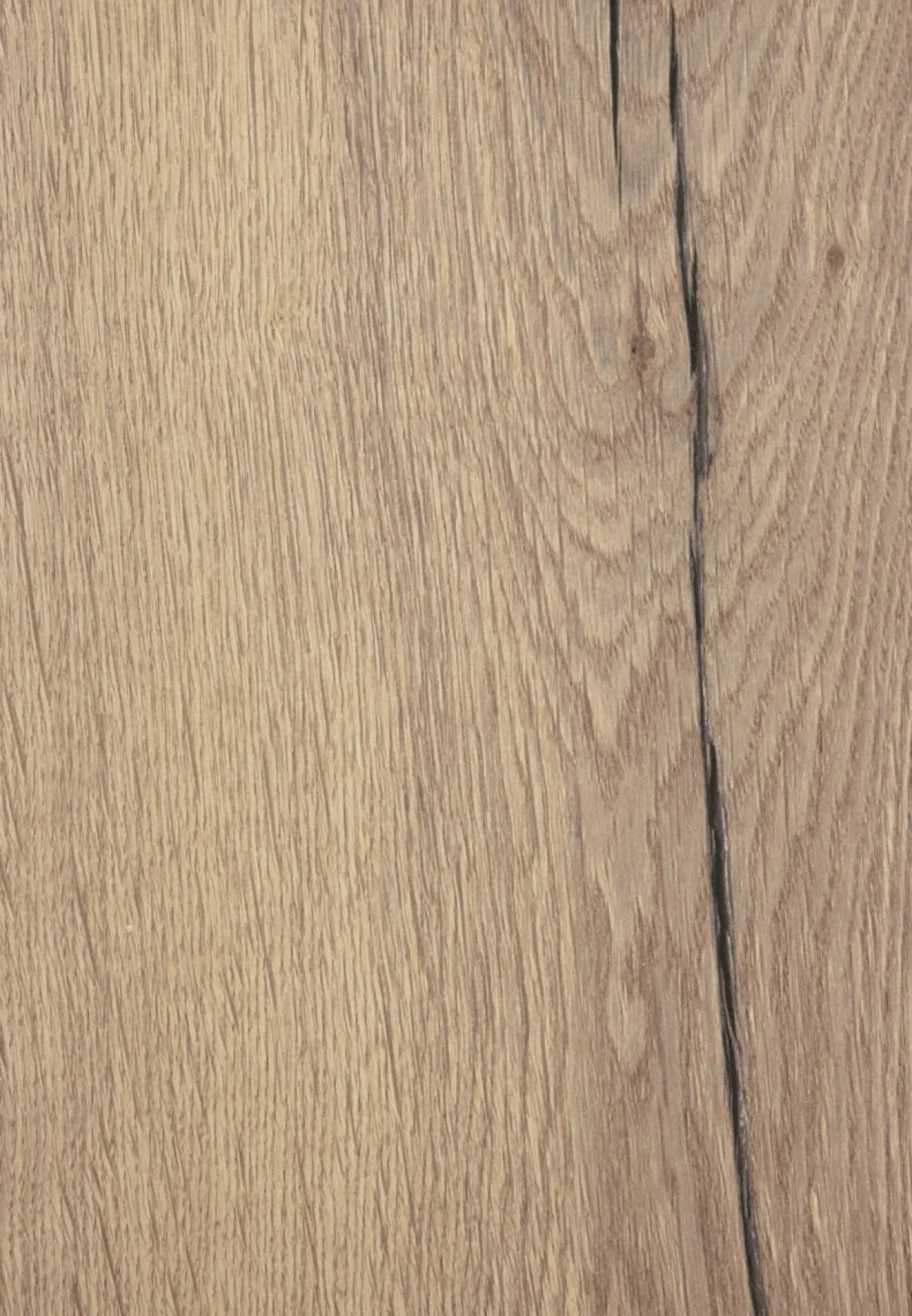 Plateau de table intérieur 120x70x1,8 cm Melamine - FLEXMOB Best