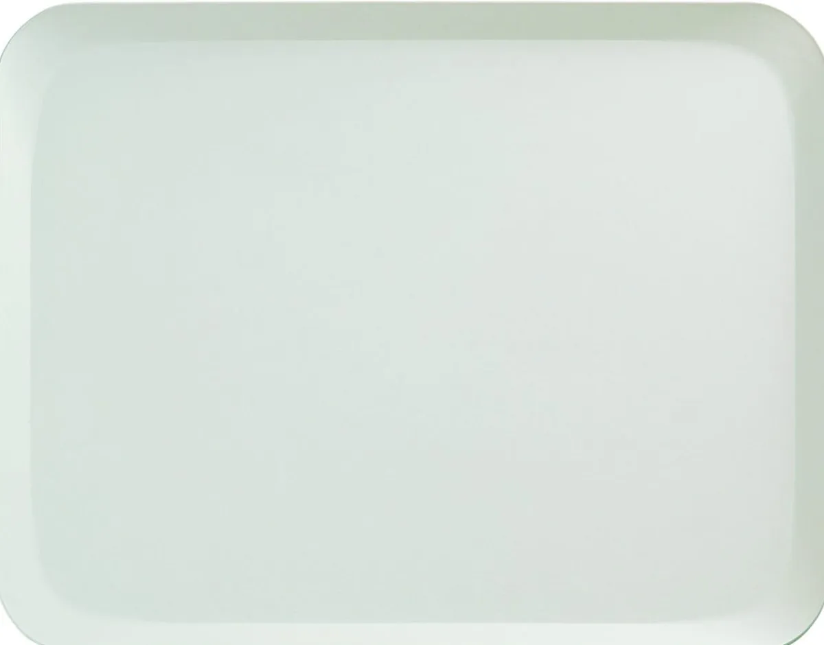 Plateau polyester blanc 40x30 cm Poly Str - PLATEX Discount
