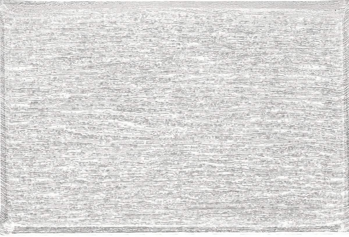 Plateau rectangulaire transparent acrylique 53 cm Pap Glace - PLATEX Online