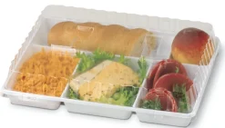 Plateau repas rectangulaire blanc plastique 29x22,4x3 cm (50 pièces) - ALPHAFORM Discount