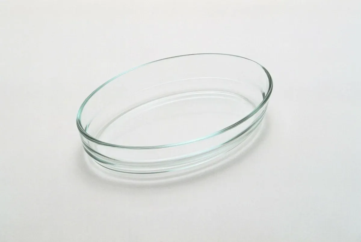 Plat à gratin ovale transparent verre borosilicate 21 cm - Aucune Best