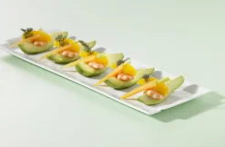 Plat rectangulaire blanc porcelaine culinaire 43 cm Bombay - REVOL Sale