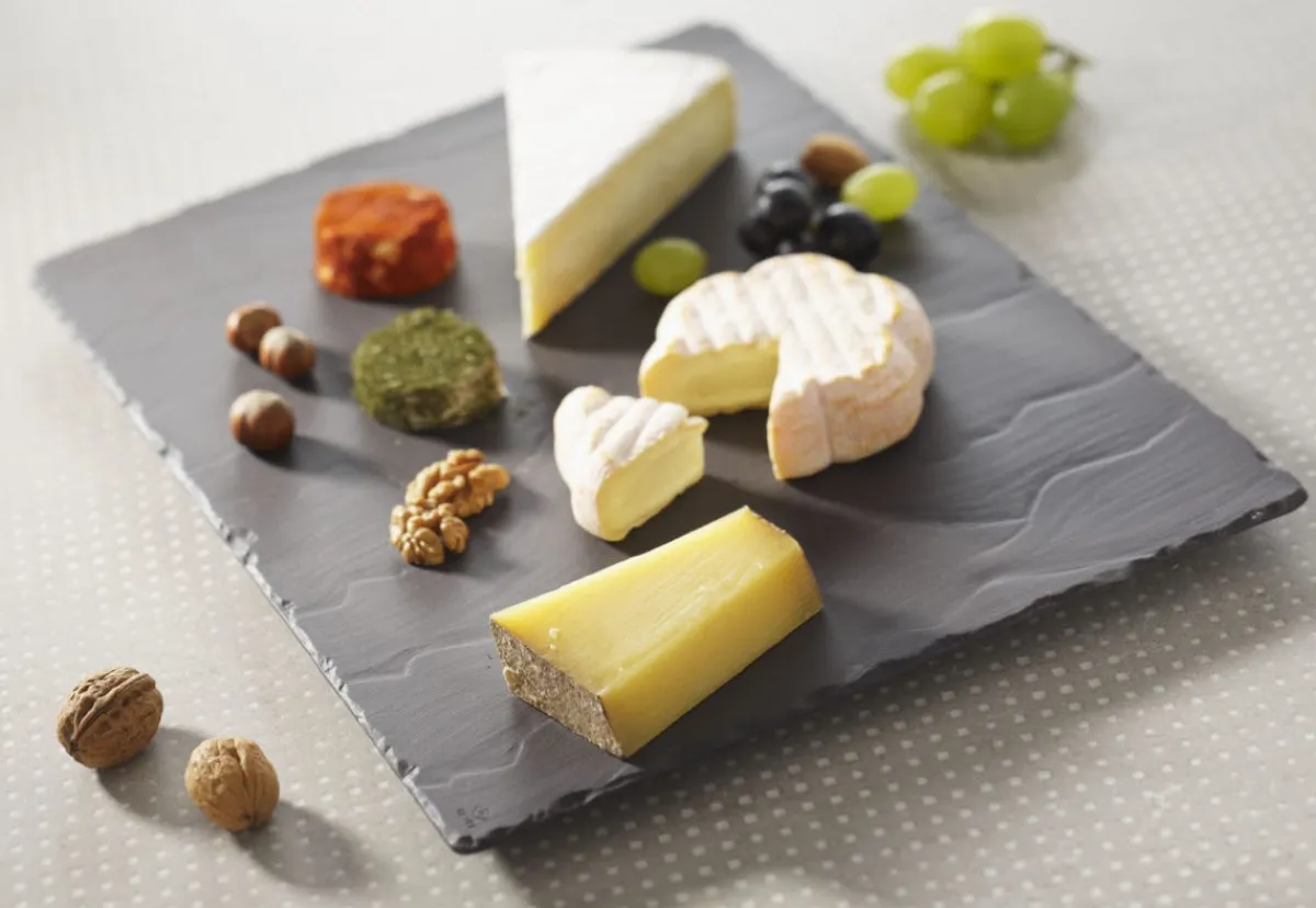 Plat rectangulaire noir porcelaine culinaire 40x30 cm Basalt - REVOL