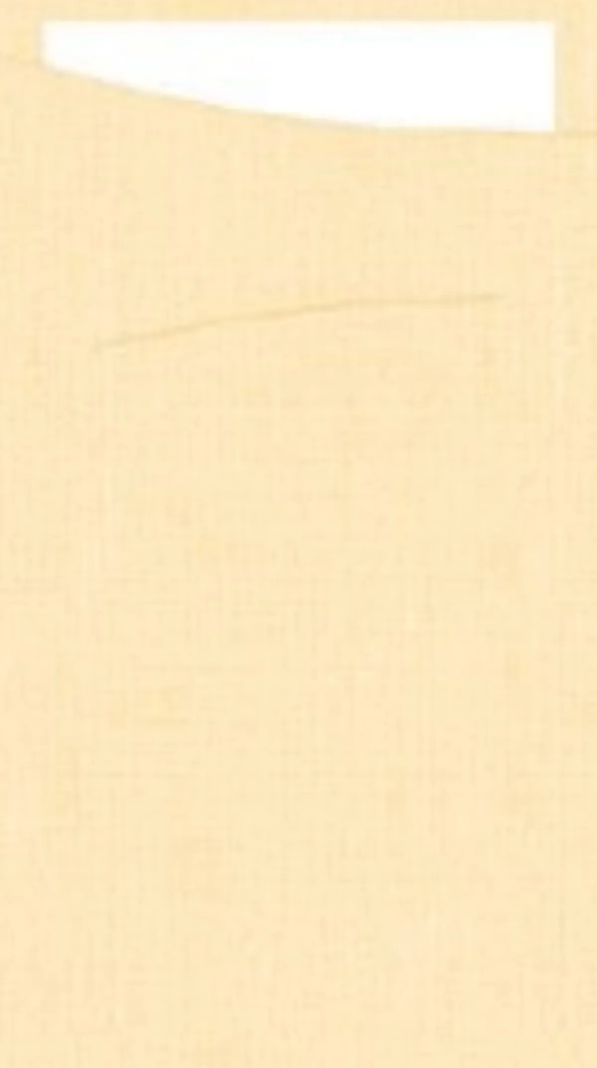 DUNI Pochette ivoire papier 23x11,5 cm Sacchetto (60 pièces) Hot