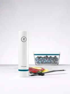 Pompe sous-vide avec socle Ø 4 cm 19 cm Fresh & Save - ZWILLING Discount