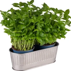 APS Range couverts inox 18/0 29,5x12x10 cm 2 L Discount