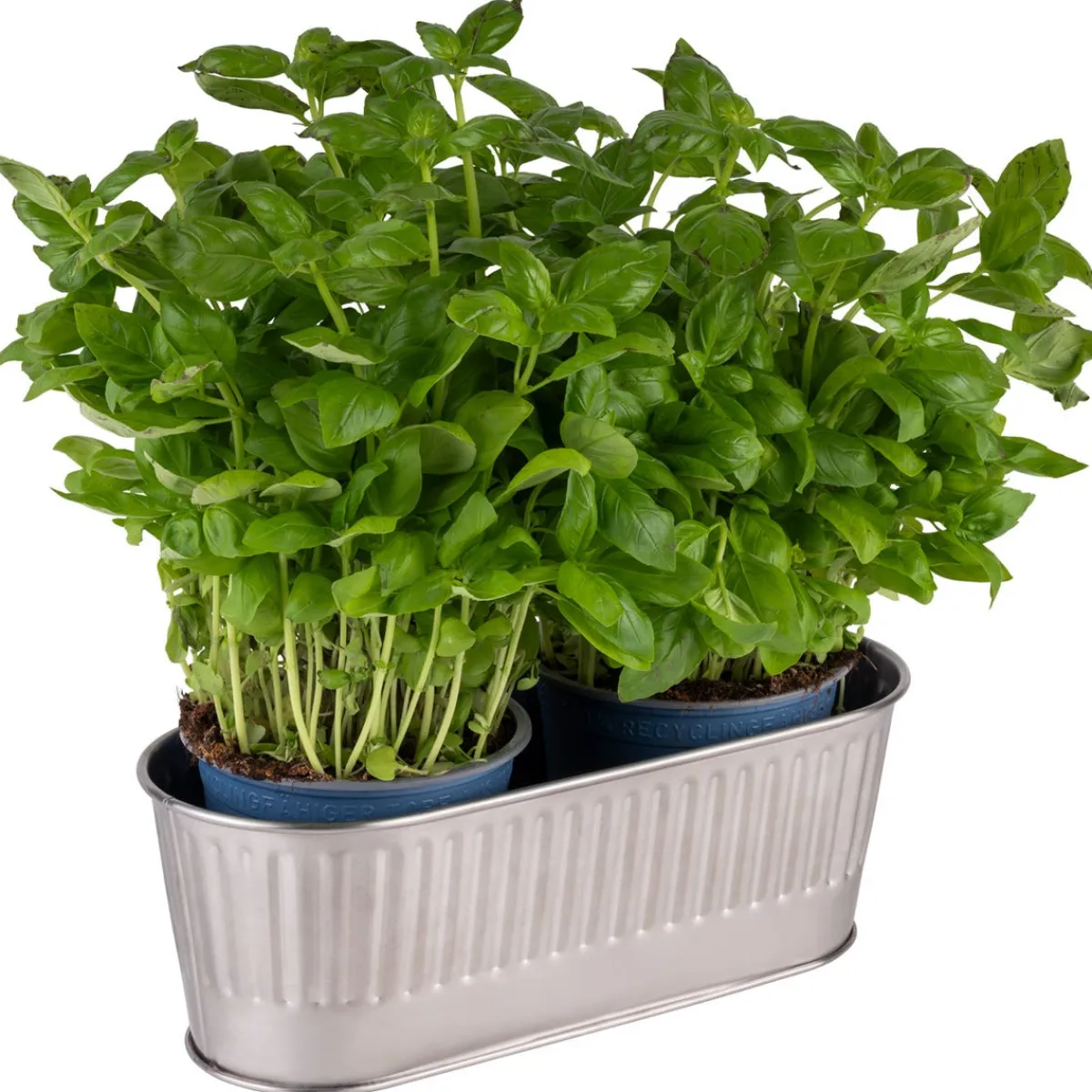 APS Range couverts inox 18/0 29,5x12x10 cm 2 L Discount