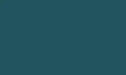 DUNI Rouleau tête à tête bleu non tissé 24x0,4 m cel