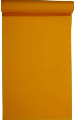 Rouleau tête à tête orange non tissé 0,4x24 m Lisah - PRO.MUNDI New