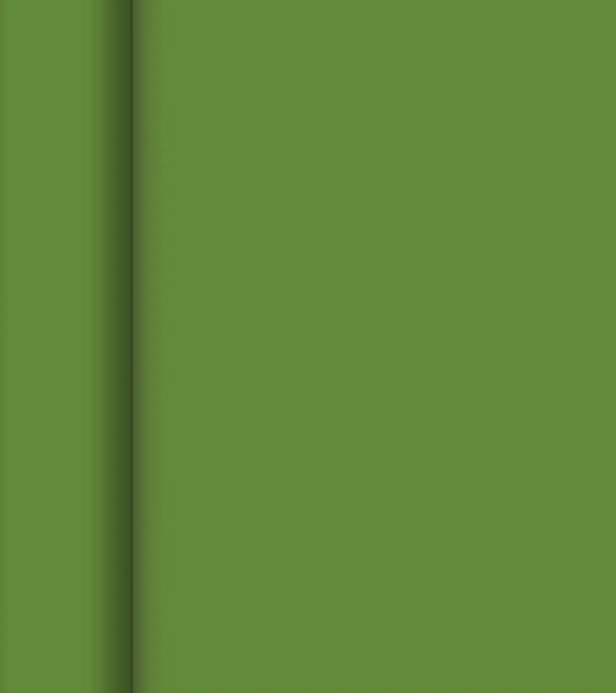Rouleau tête à tête vert non tissé 24x0,4 m cel - DUNI Best
