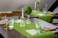 Rouleau tête à tête vert non tissé 24x0,4 m cel - DUNI Best