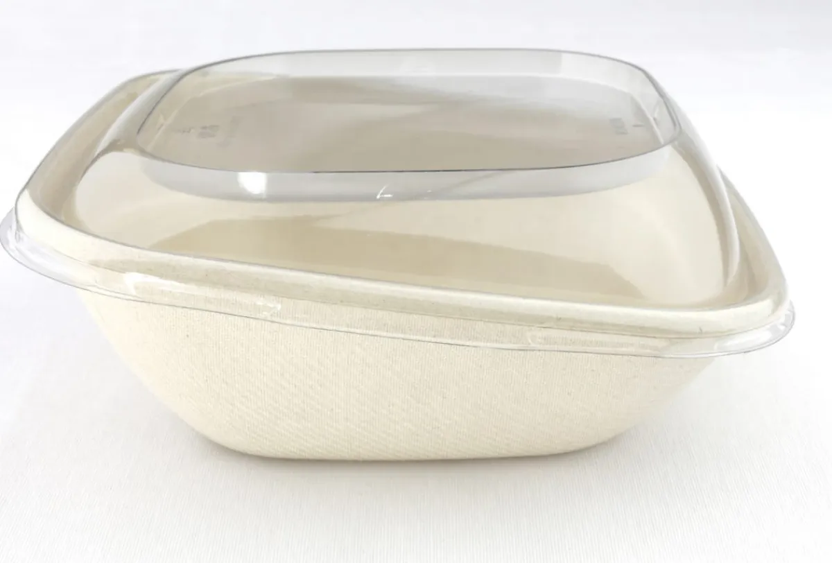 Saladier incliné carré beige 18,4x18,6x7,7 cm 75 cl Be Pulp (50 pièces) - Aucune