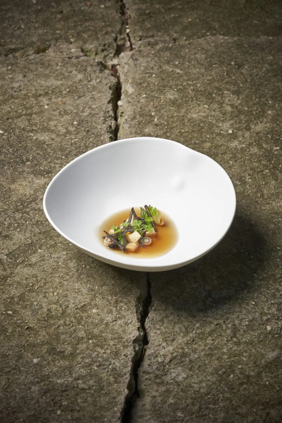 COOKPLAY Saladier noir porcelaine 21,5 cm Shell Online