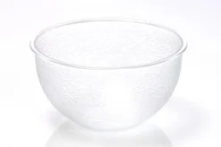 Aucune Saladier rond transparent copolyester Ø 20 cm Outlet