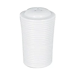 RAK Salière blanc porcelaine vitrifiée Ø 4,3 cm Evolution   Discount