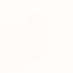 DUNI Serviette blanc non tissé 48x48 cm Airlaid (60 pièces) Hot