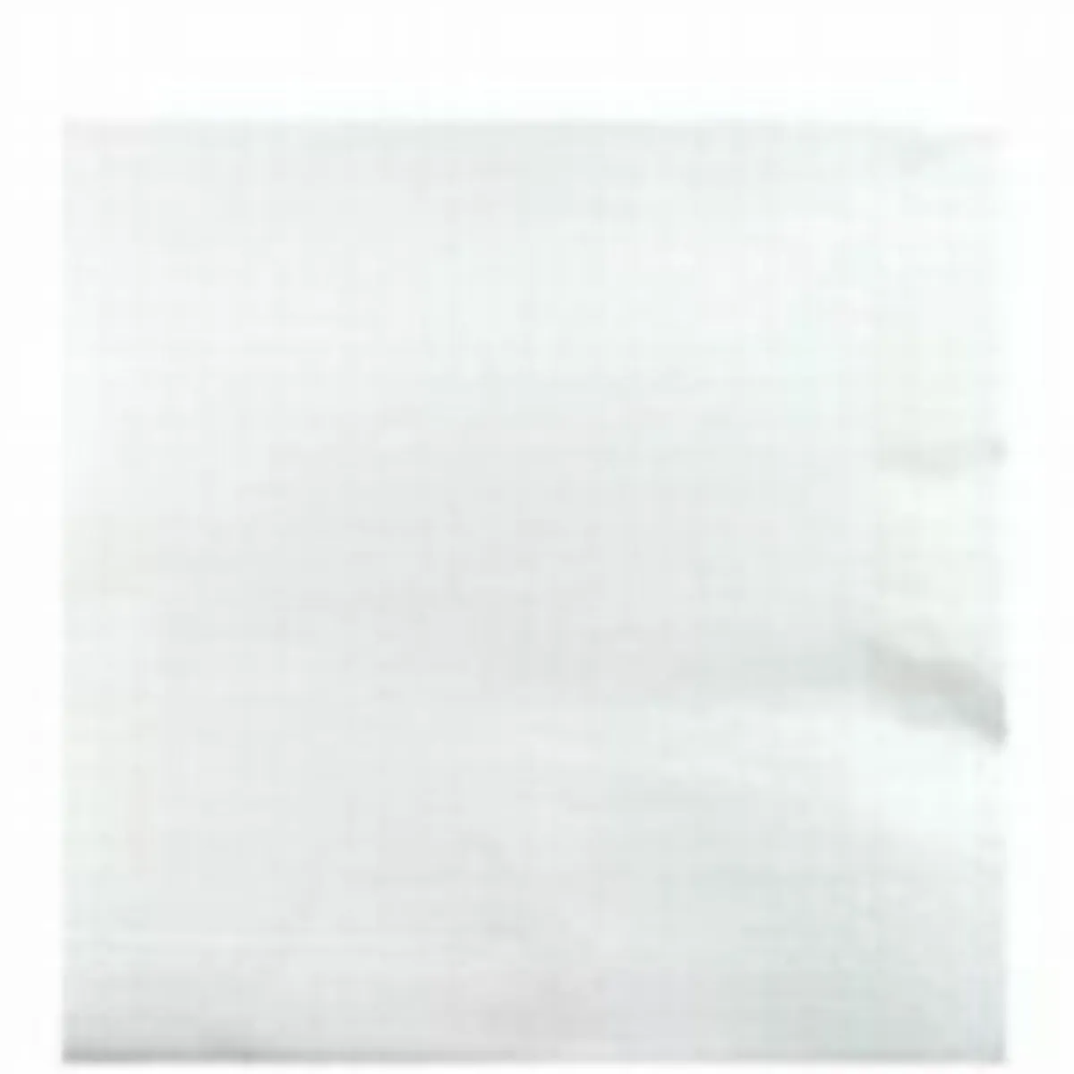 PRO.MUNDI Serviette blanc ouate de cellulose 20x20 cm Lisah (50 pièces) Outlet