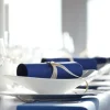 DUNI Serviette bleu foncé non tissé 40x40 cm Bio soft (60 pièces) Best