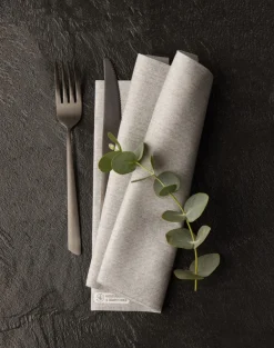 Serviette gris spunlaid 40x40 cm Celytiss (40 pièces) - MANUFACTURE DE L'EPHEMERE Outlet
