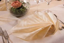 DUNI Serviette ivoire non tissé 48x48 cm Elegance Lily (40 pièces) Sale