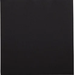 PRO.MUNDI Serviette noir ouate de cellulose 38x38 cm Lisah (50 pièces)
