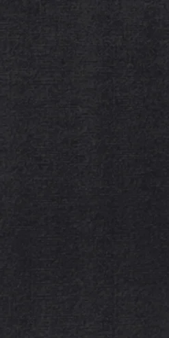 DUNI Serviettes noir non tissé 40x40 cm pliée en 8 Bio soft (60 pièces) Hot