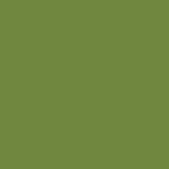 Serviette vert feuille non tissé 40x40 cm Bio soft (60 pièces) - DUNI Discount