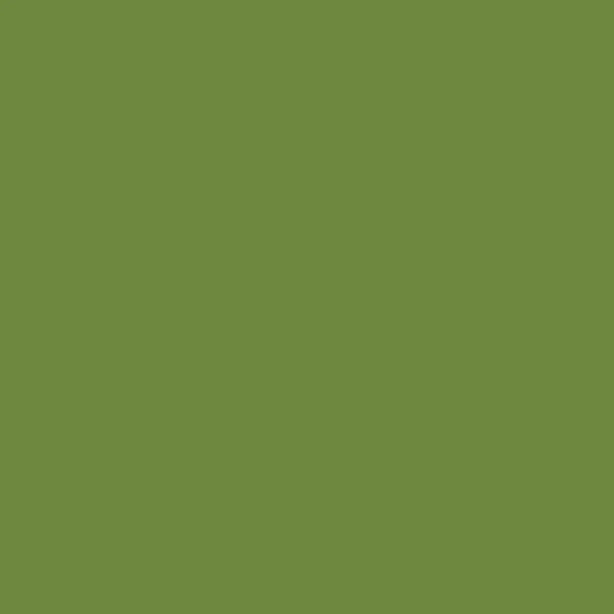 Serviette vert feuille non tissé 40x40 cm Bio soft (60 pièces) - DUNI Discount
