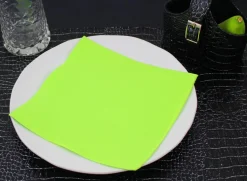 PRO.MUNDI Serviette vert granny ouate de cellulose 38x38 cm Lisah (50 pièces) New