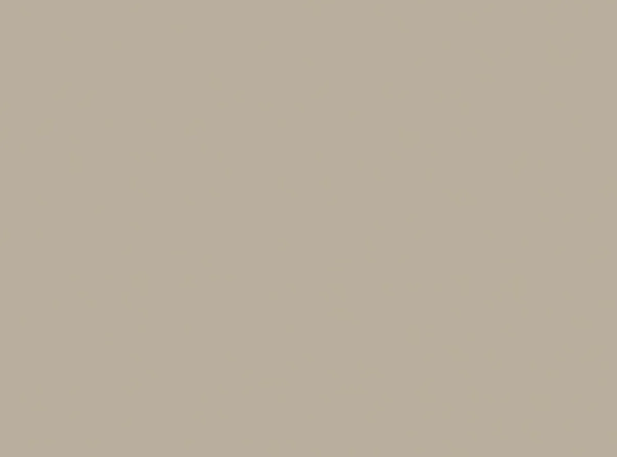 Set de table beige papier 35x45 cm (250 pièces) - DUNI Discount