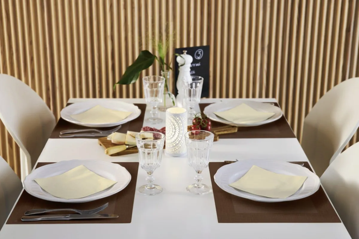 Set de table grège non tissé 30x40 cm Linnea (100 pièces) - DUNI Outlet