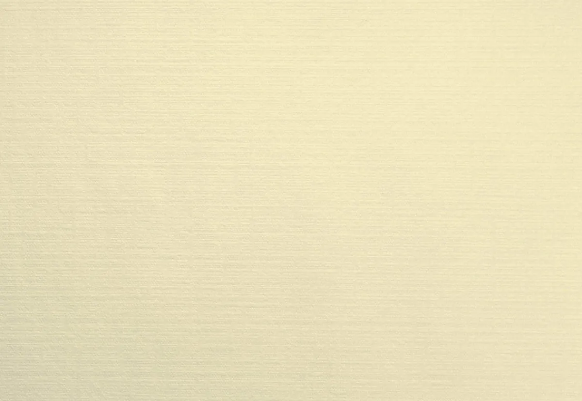 Set de table ivoire non tissé 30x40 cm Evolin (70 pièces) - DUNI New