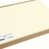 Set de table ivoire plastique 30x40 cm (100 pièces) - Aucune Sale