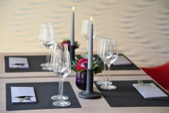 Set de table noir silicone 45x30 cm (30 pièces) - DUNI Outlet
