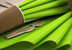 COGIR Set de table vert papier 30x40 cm Tisslack (500 pièces) Clearance