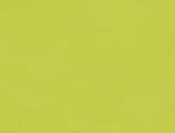 Set de table vert silicone 45x30 cm (6 pièces) - DUNI Hot
