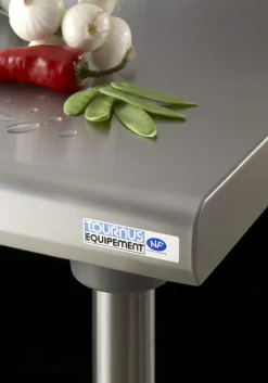 TOURNUS Table avec dosseret inox 220x70x90 cm Avec dosseret Avec étagère Discount