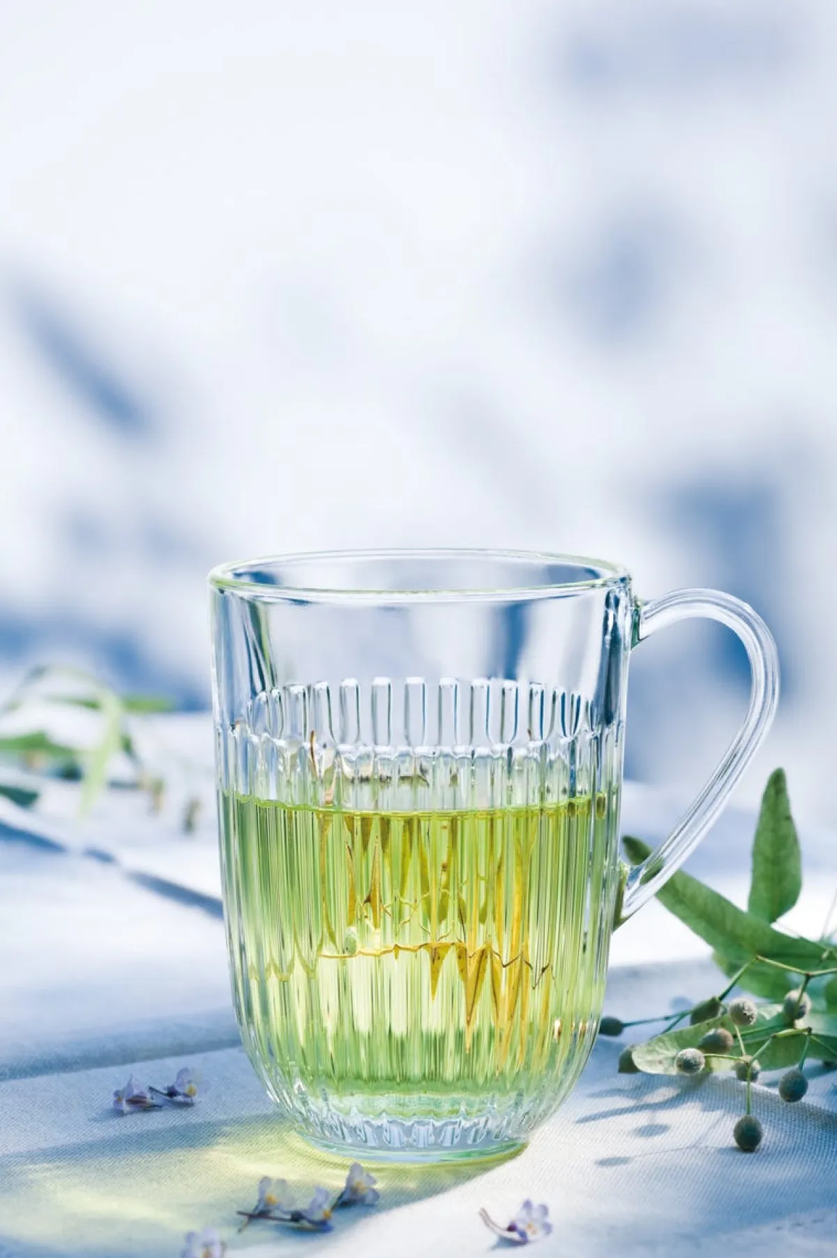 Tasse transparent verre pressé 25 cl Ø 8,5 cm Ouessant - LA ROCHERE Hot