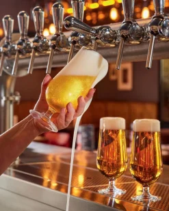 Verre à bière verre 28 cl Wells - ARCOROC Discount