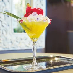 ARCOROC Verre à cocktail martini verre 21 cl Broadway