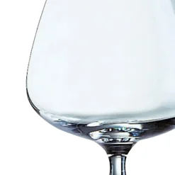 Verre à cognac verre 25 cl Degustation - ARCOROC New