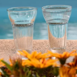 Verre à pastis verre pressé 22 cl Calanques - LA ROCHERE Hot