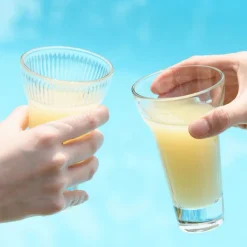 Verre à pastis verre pressé 22 cl Calanques - LA ROCHERE Hot