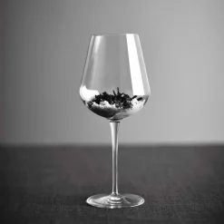 BORMIOLI ROCCO Verre à pied jaugé verre cristallin 43,5 cl Tre Sensi Hot