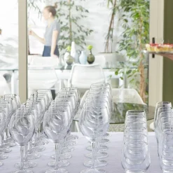 Verre à pied multi-usages verre trempé 27 cl Milano - BORMIOLI ROCCO New